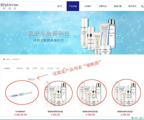 上海派網 一站式網站建設與SEO優化專家，助力企業在滬騰飛